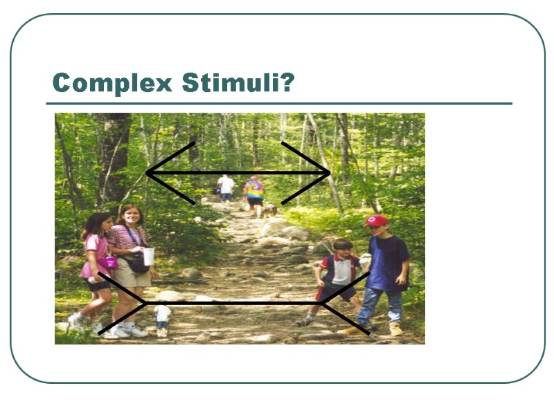 Complex Stimuli?